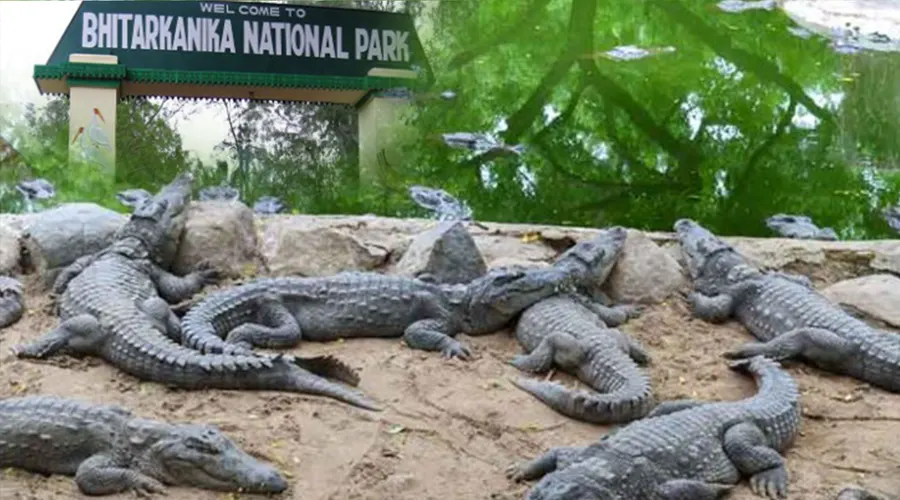 Bhitarkanika National Park